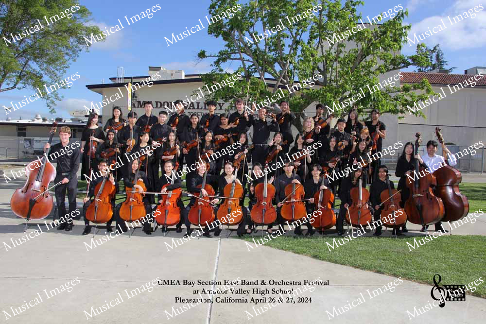 Musical Images